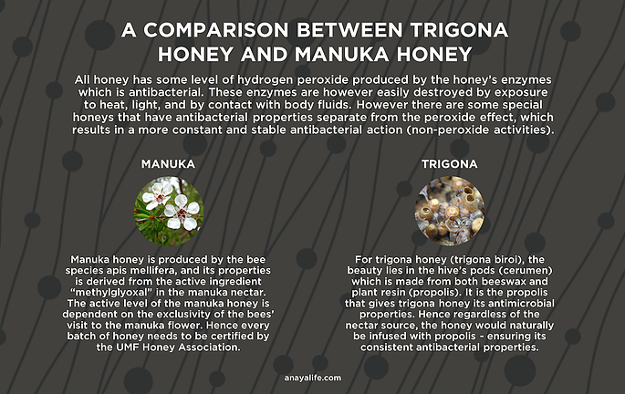 italian honey vs trigona
